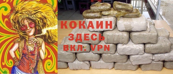 mdpv Богородицк