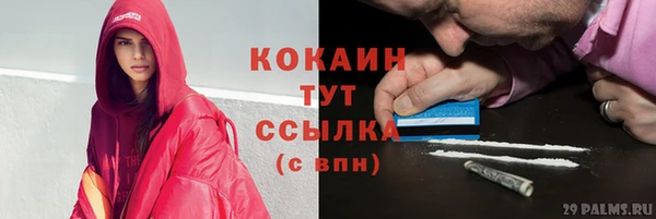 mdpv Богородицк