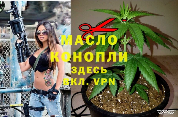 mdpv Богородицк
