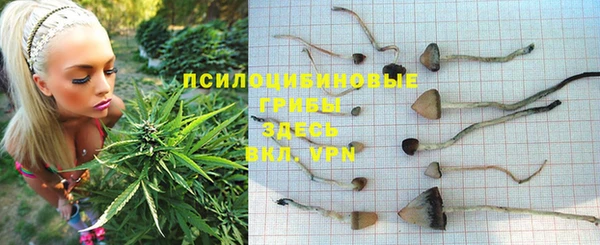 mdpv Богородицк