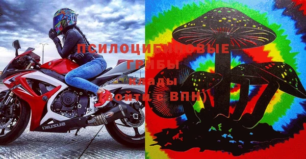 дживик Богданович